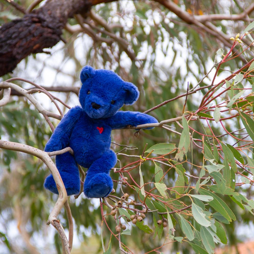 Blue Ted Teddy Bear