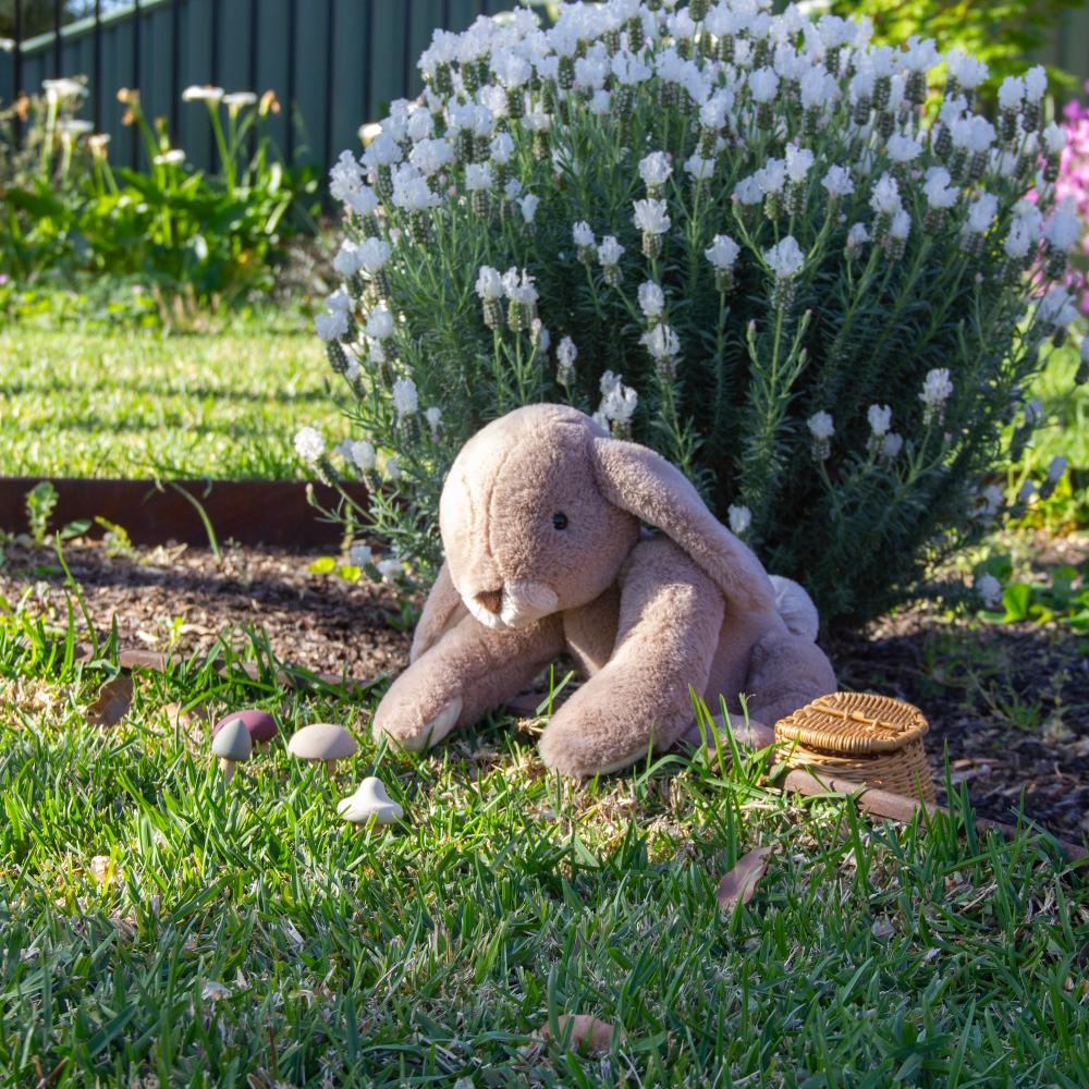 Margot Rabbit