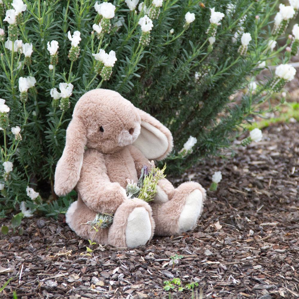 Margot Rabbit