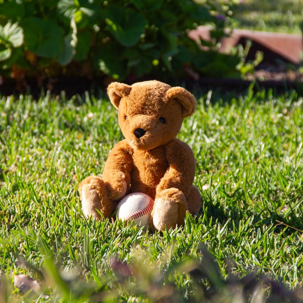 Theodore Teddy