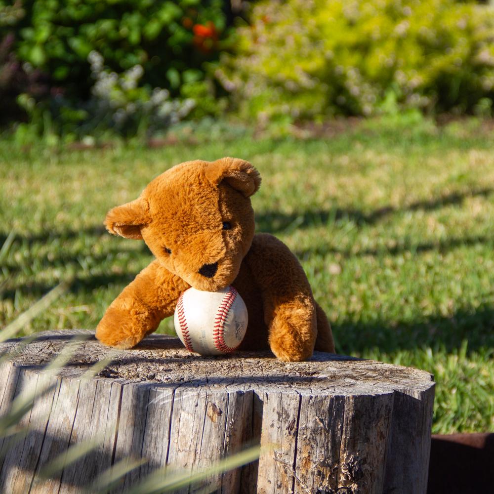 Theodore Teddy