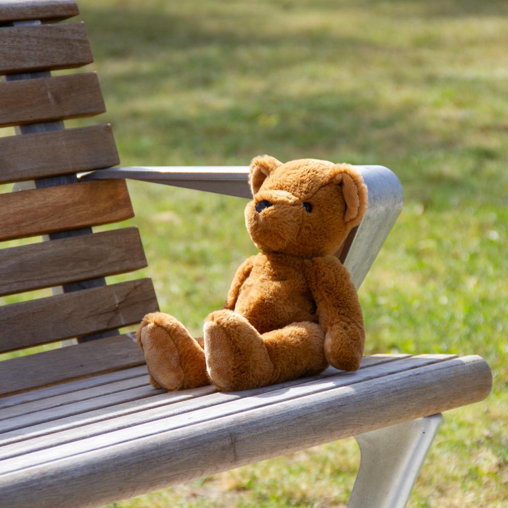 Theodore Teddy