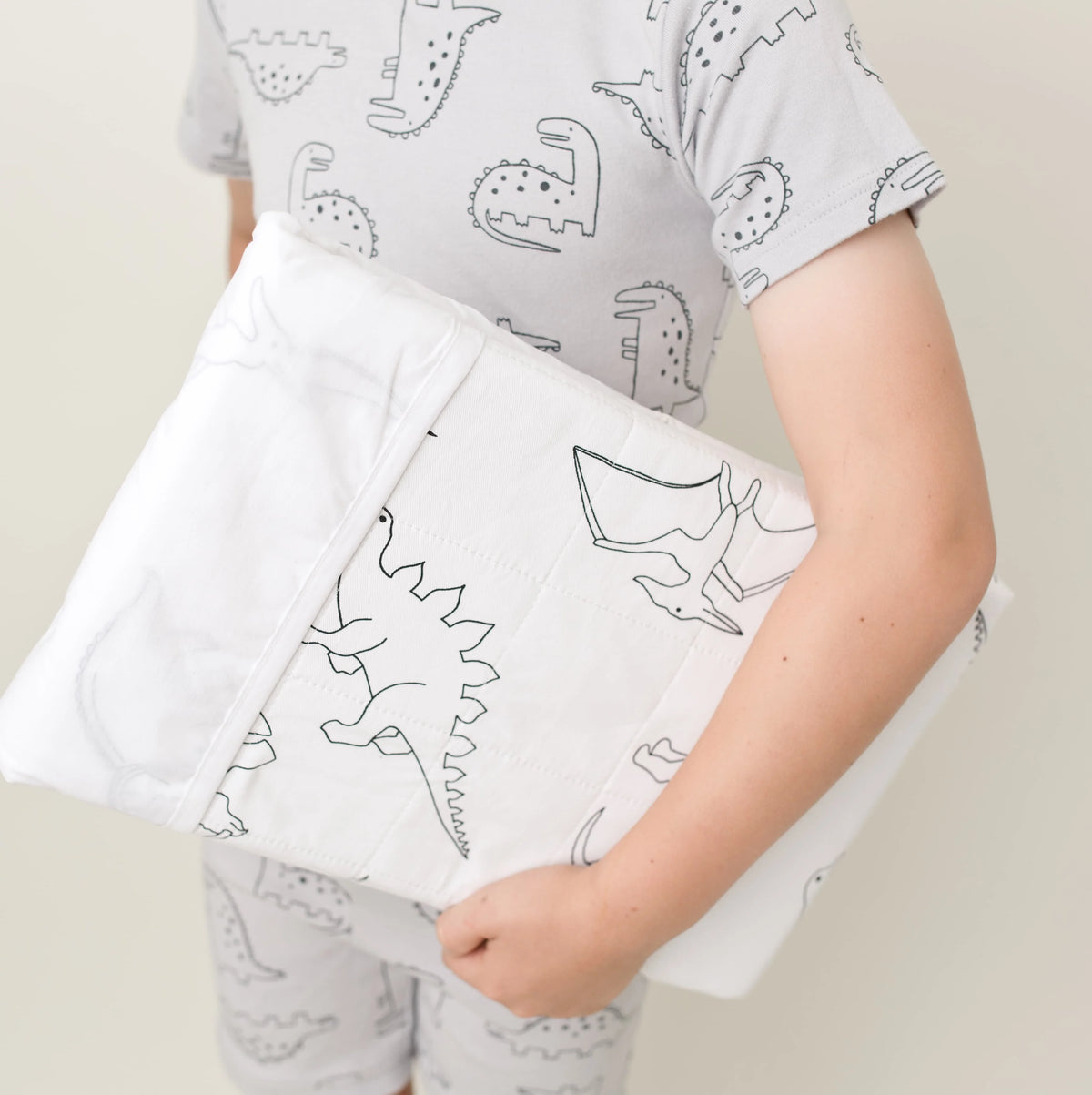 Brolly Sheet - Dinosaur