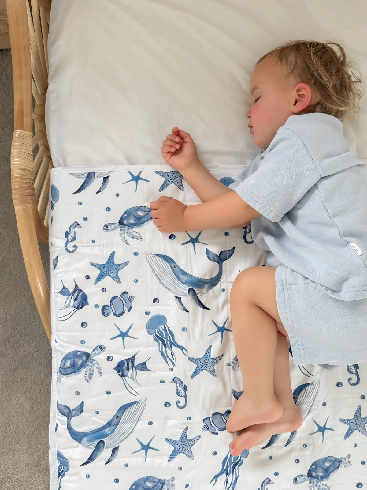 Brolly Sheet - Sea World