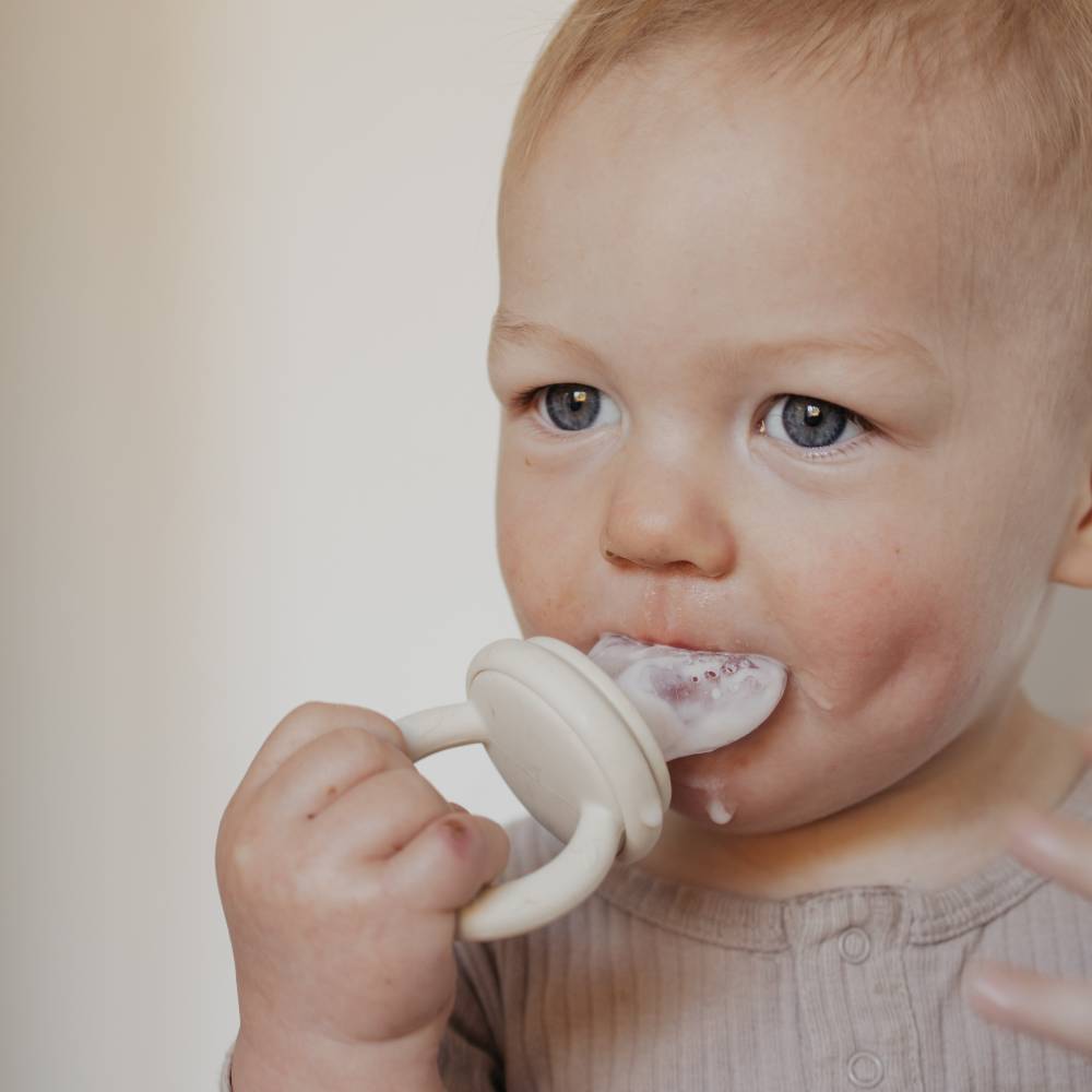 First Tastes Feeder - Breeze