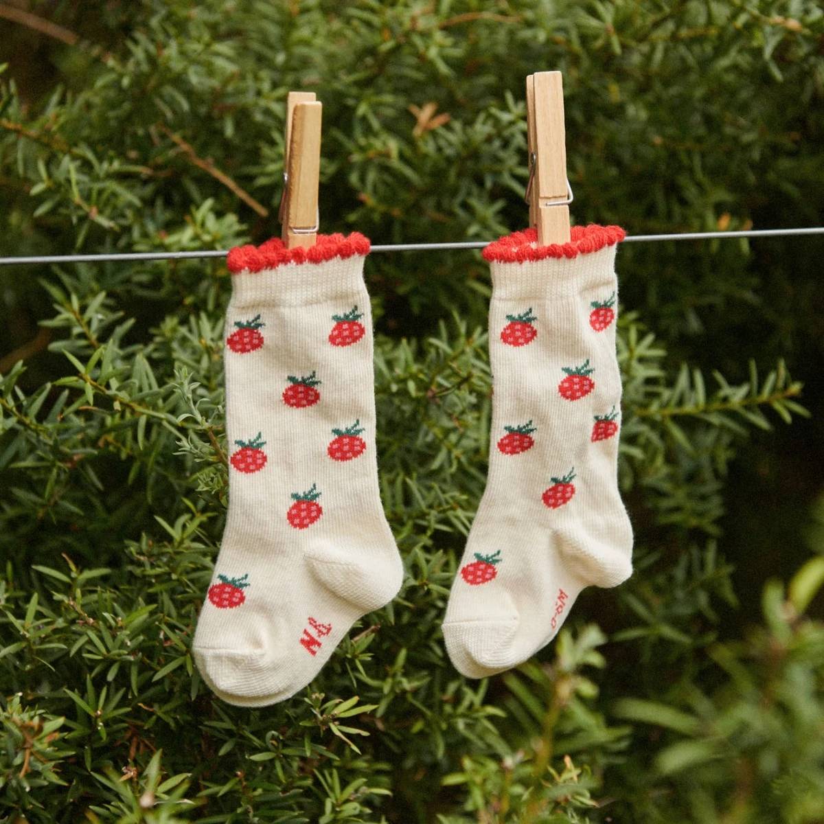 Two cotton baby socks with red raspberry pattern and red trim hanging on a clothesline against a green leafy background.