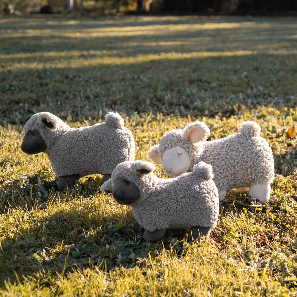 Charlotte the Sheep - Cream